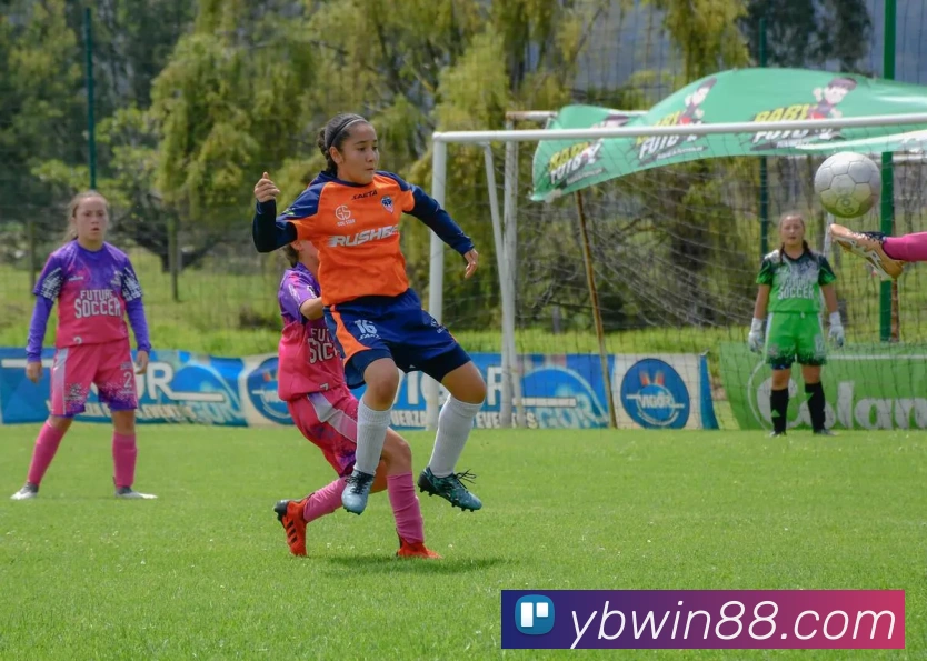 bwin必赢亚洲官网平台平台生态图